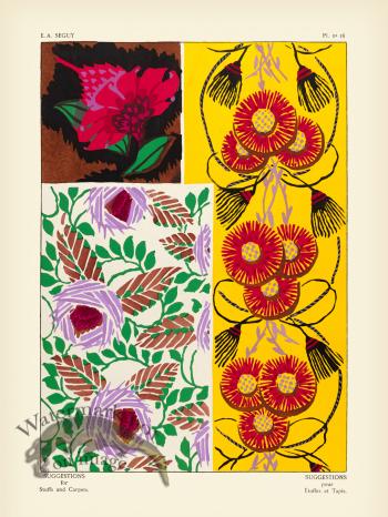 Seguy Suggestions 18